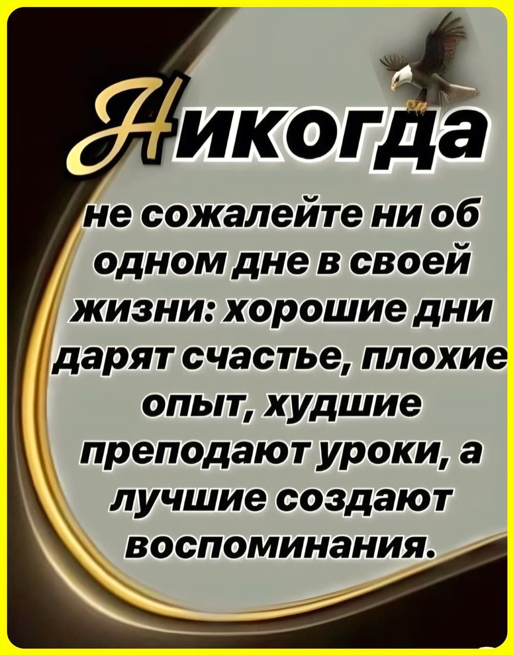 икогда не сожалейте ни об одном дне в своей жизни хорошие дни дарят счастье плохие ОПЬТ худшие преподают уроки а лучшие создают воспоминания