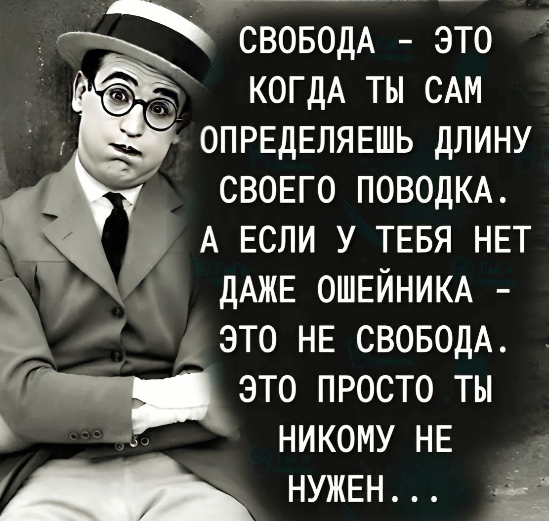 ДНЛЛЛНОООООННЫ ъ СВОБОДА ЭТО О КОГДА ТЫ САМ ОПРЕДЕЛЯЕШЬ ДЛИНУ СВОЕГО ПОВОДКА А ЕСЛИ У ТЕБЯ НЕТ ДАЖЕ ОШЕЙНИКА ЭТО НЕ СВОБОДА Г Ээто ПРОСТО ТЫ рч НИКОМУ НЕ НУЖЕН і