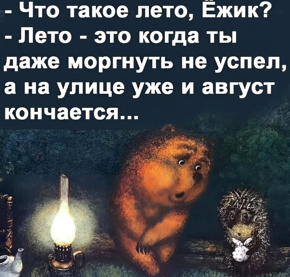 Что такое лето Ежик Лето это когда ты даже моргнуть не успел а на улице уже и август кончается