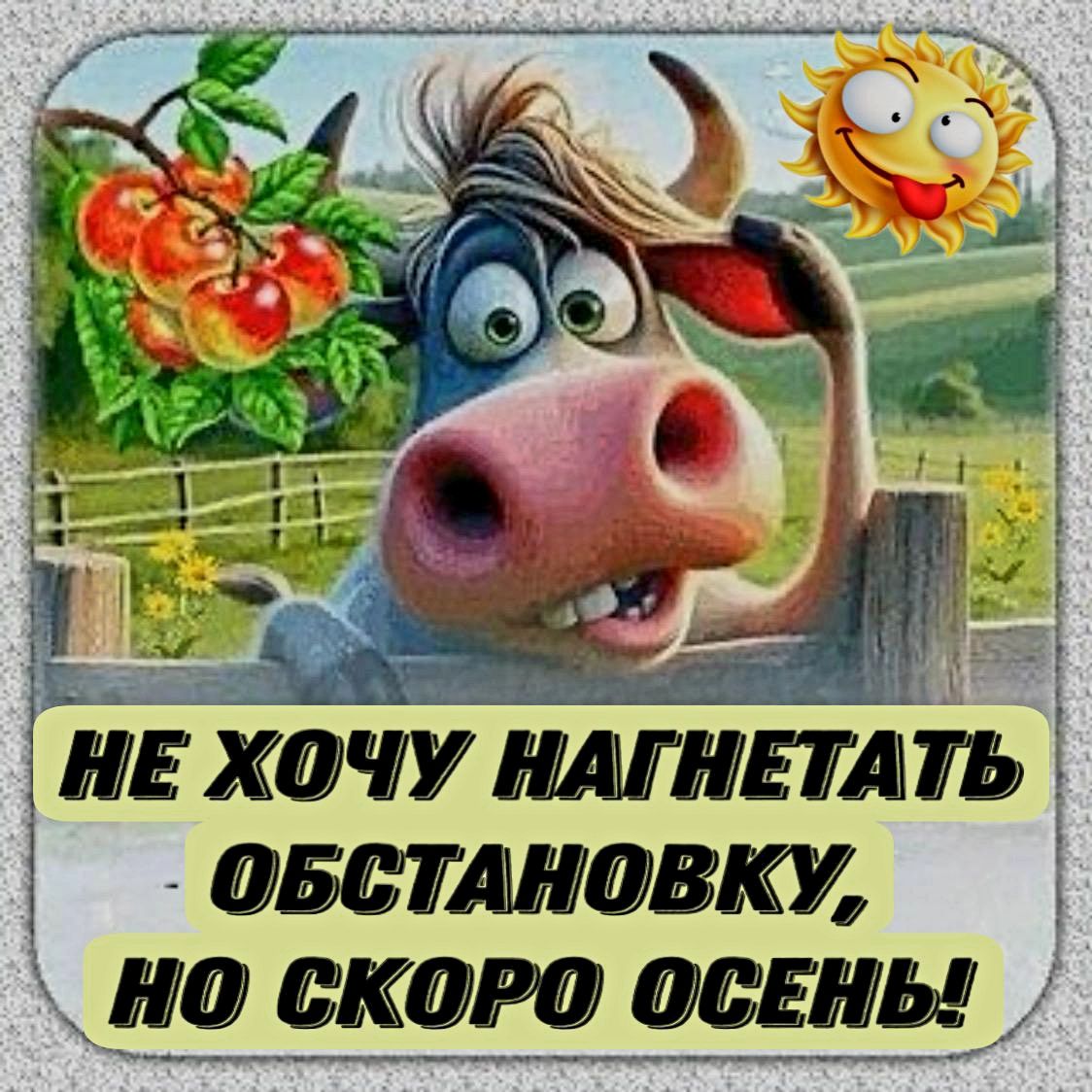 ОБСТАНОВКУ НО СКОРО ОСЕНЫ