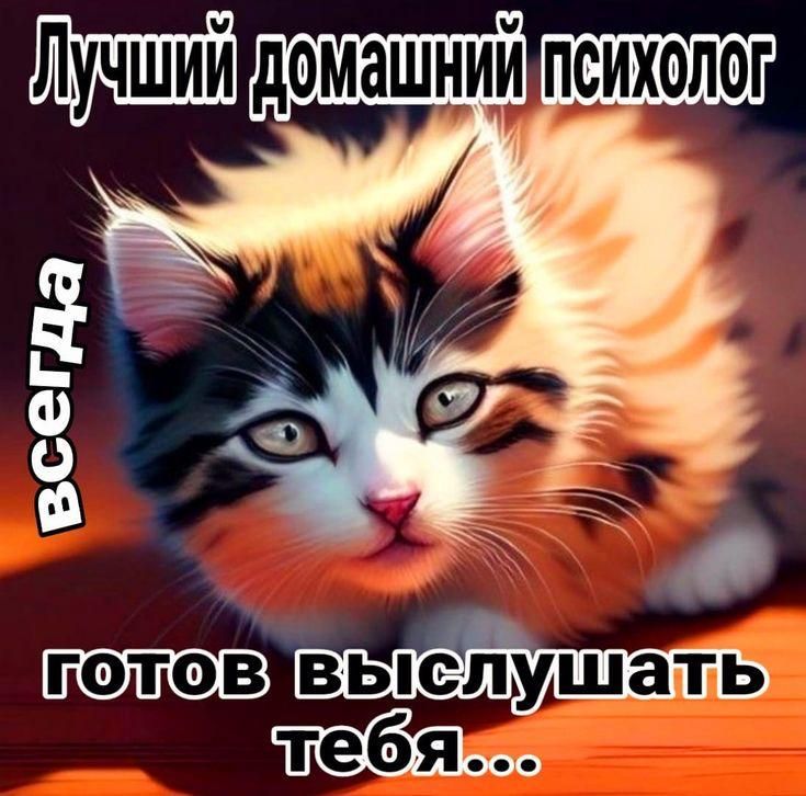 ё подовувнслушать