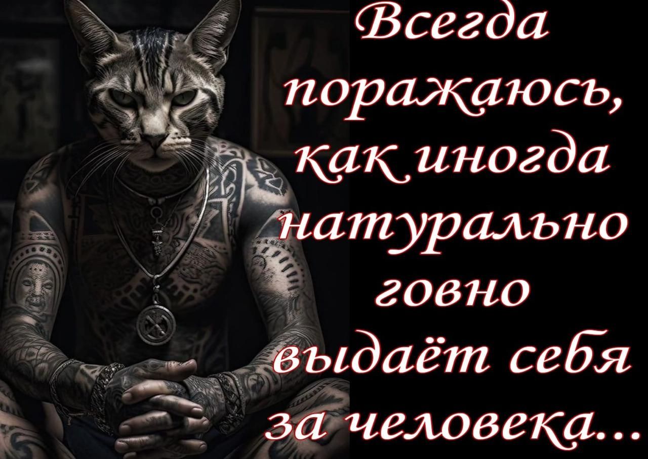 Всегда ы 1 _ поражаюсь какиногда ЁЁ тпурально говно __выдаёт себя б о зачеловека