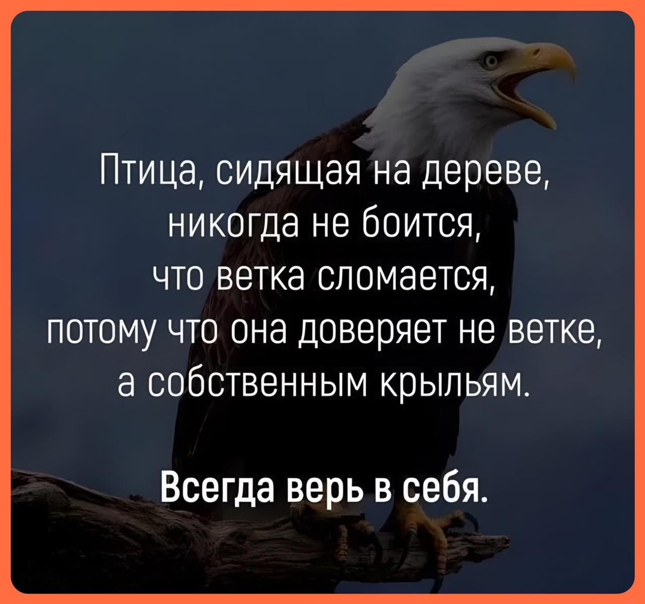 Птица сидящая на дереве никогда не боится что ветка сломается потому что она доверяет не ветке а собственным крыльям Всегда верь в себя