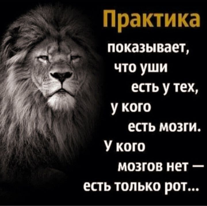 Практика показывает что уши есть у тех у кого есть мозги У кого мозгов нет есть только рот