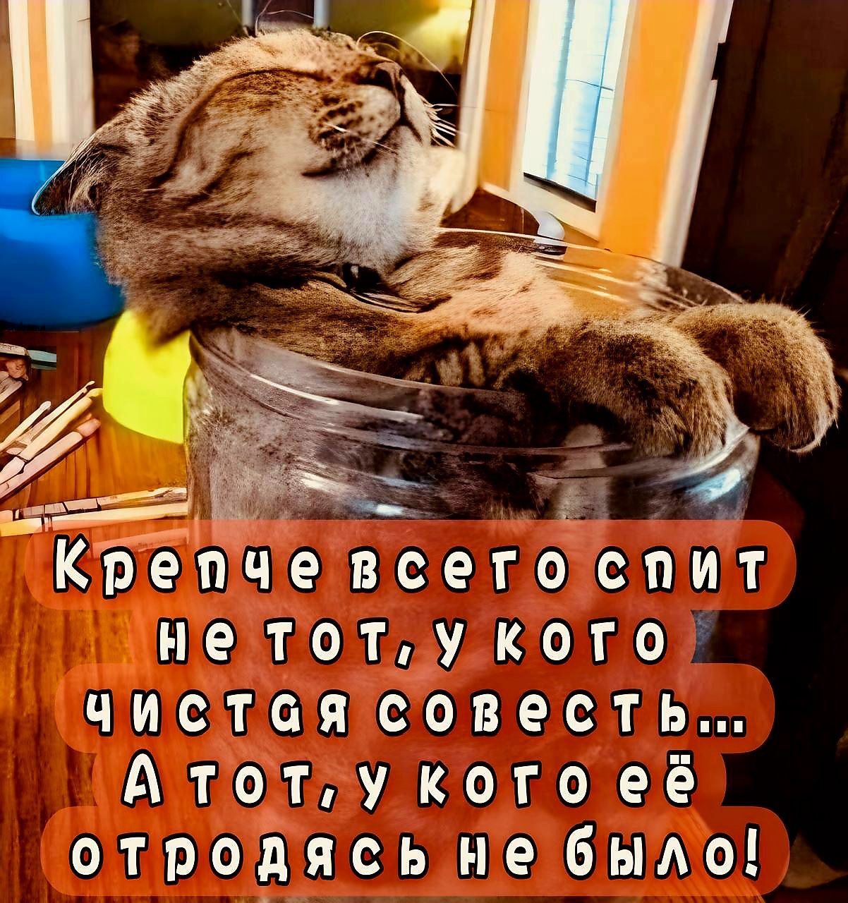 Крепче всего СПИТ нетот у кого чистая совесть А тот у кого её отродясь не было