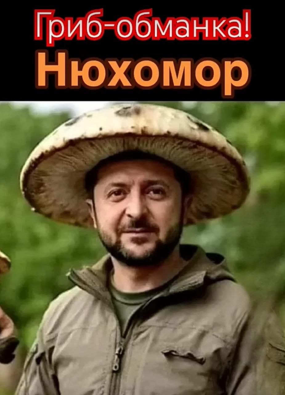 Гриб обманка Нюхомор