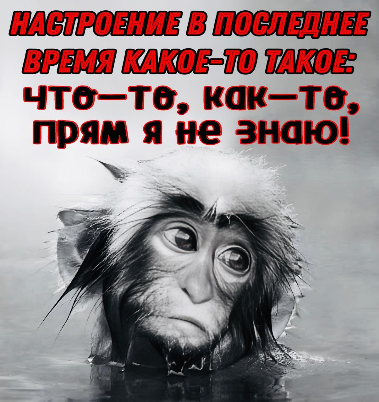 НАСТВОЕНИ ВВИПОСЛЕДНЕВ ГВ ВЕМДКЛКОБСТОДТАКОЕЯ что те какте прям я не знаю