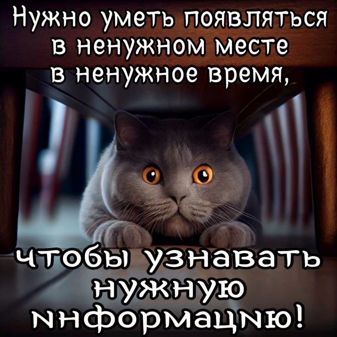 Нужно уметь появляться в ненужном месте в ненужное время ччобыьузнавагь Ётчужнцю мнформацмю