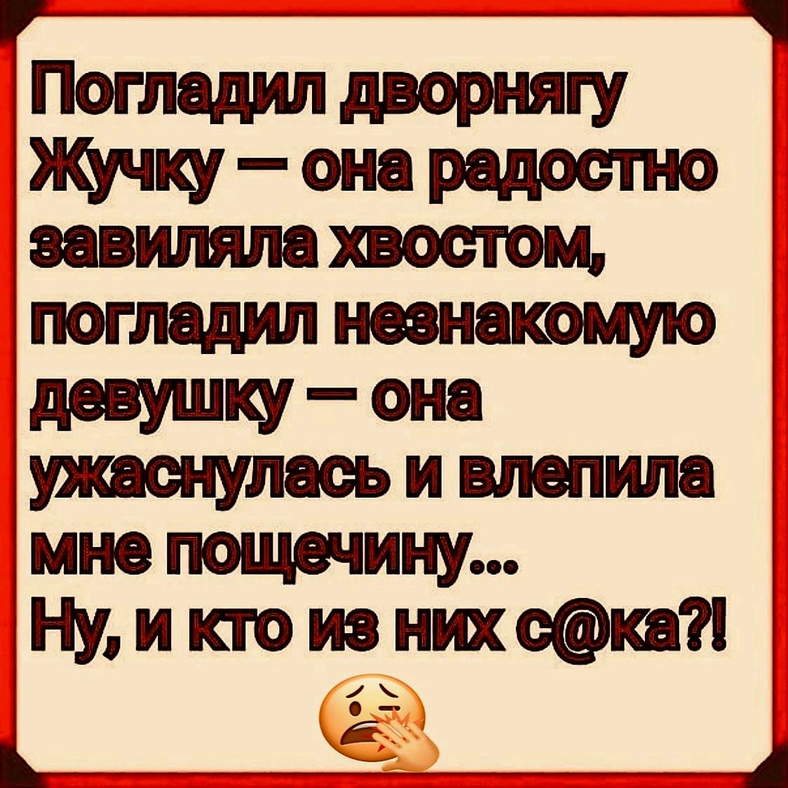 Погледил дворнягу Жучку она радостно завиляла хвостом погладил незнакомую девушку она утнжаеьиыюпипа мне пощечину Ну и кто из них ска