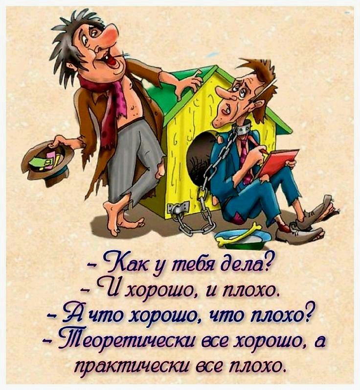 СКак у тевя дела хорошо и плохо Я что хорошо что плохо Йеоретически все хорошо а практически все плохо