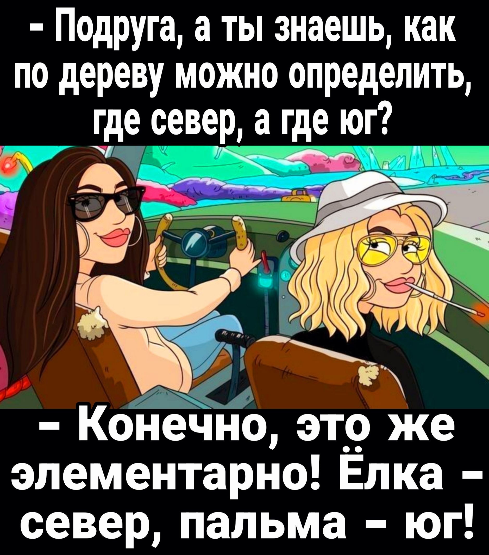 Подруга а ты знаешь как по дереву можно определить где север а где юг Конечно это же элементарно Елка север пальма юг