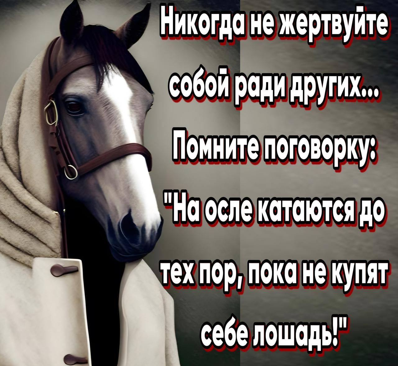 20 ДНикогда не жертвуйте Собой ради других і себе лошадь