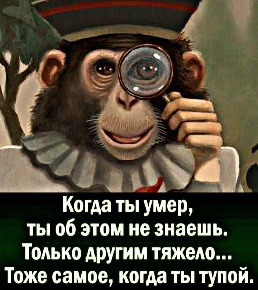 Когда ты умер ты об этом не знаешь Только другим тяжело Тоже самое когда ты тупой