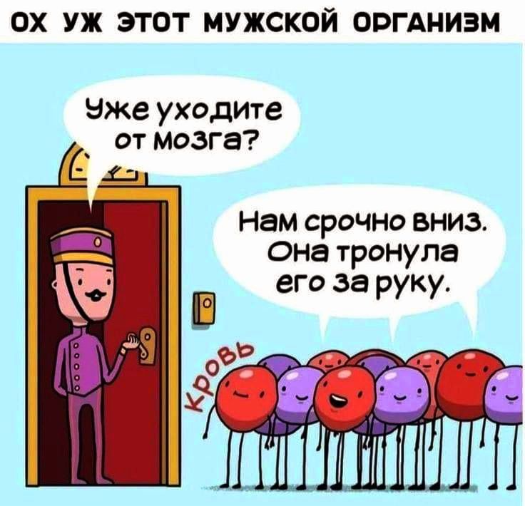 ОХ УЖ ЭТОТ МУЖСКОЙ ОРГАНИЗМ Уже уходите от мозга С г Нам срочно вниЗ на тронула его за руку шшшмпш