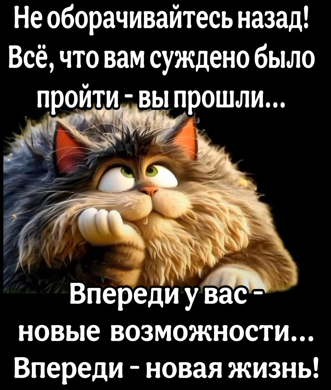 Необорачивайтесь назад Всё что вам суждено было пройти вы прошли м Впереди у вас7 новые возможности Впереди новая жизнь