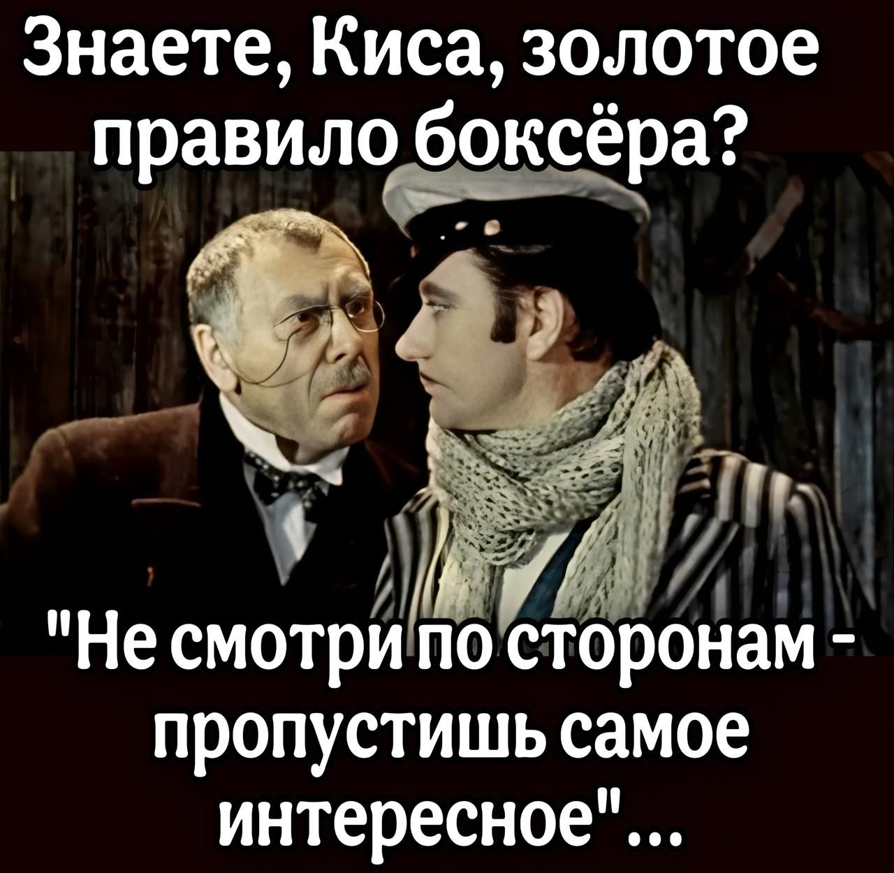 Знаете Киса золотое боксёра правипо_ ксера И Несмотрипо сторонам ь пропустишь самое интересное