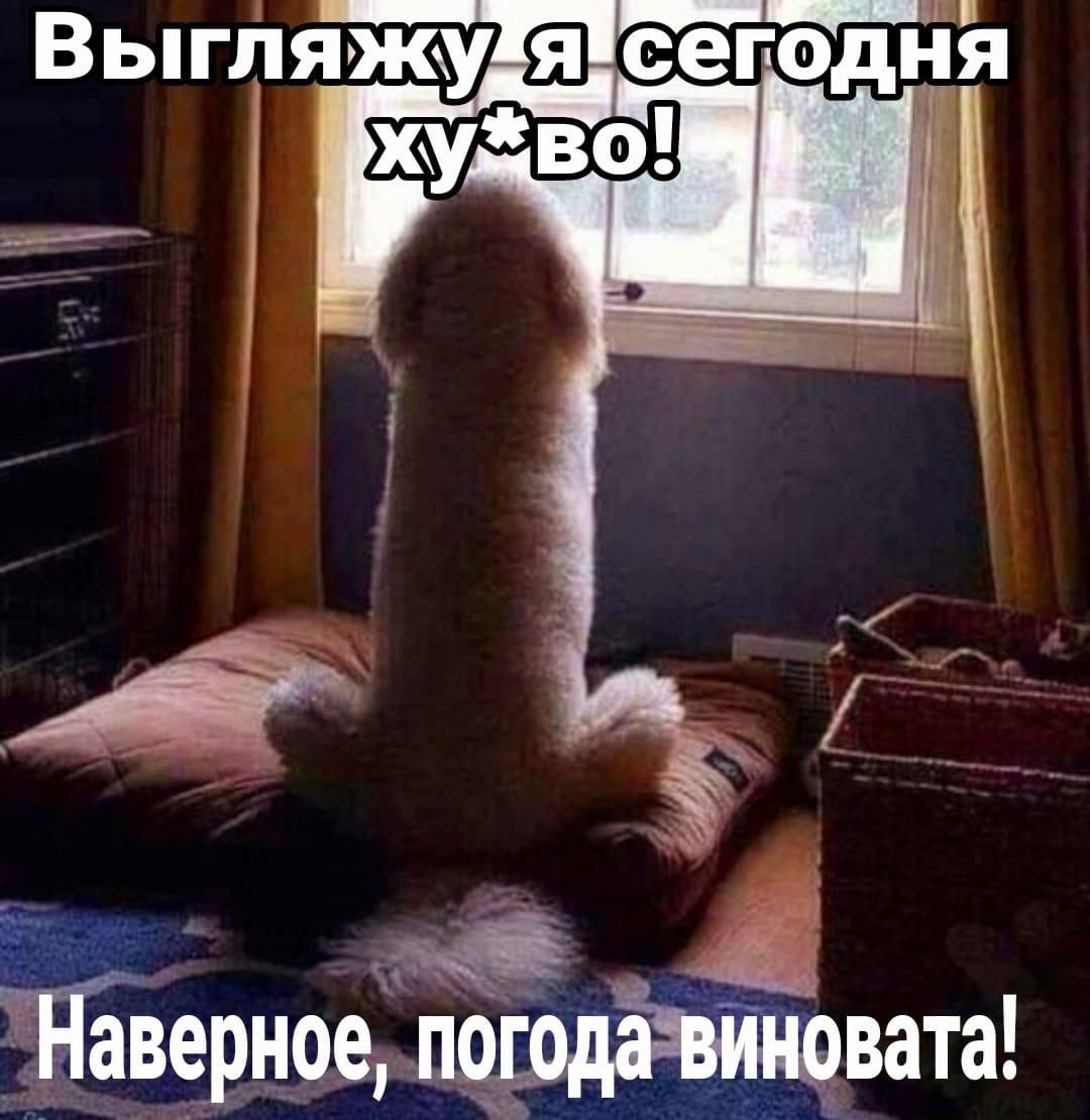 Выгляжудя сегодня