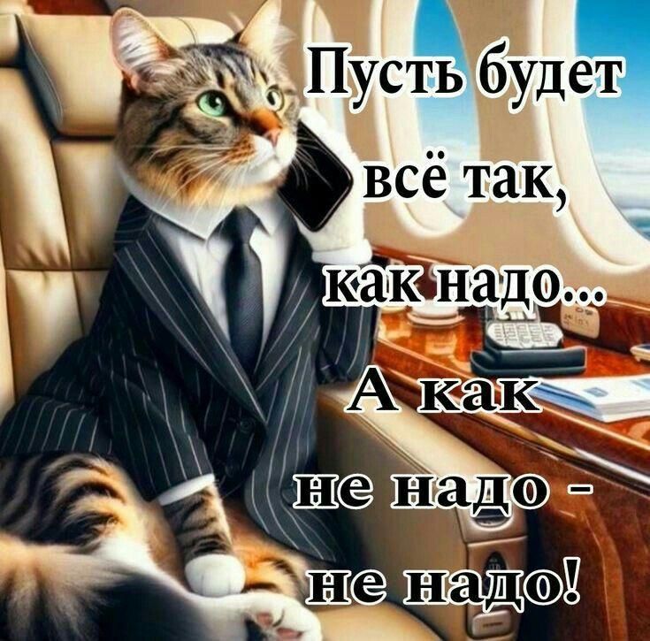 Ш надв Е 31 _дП