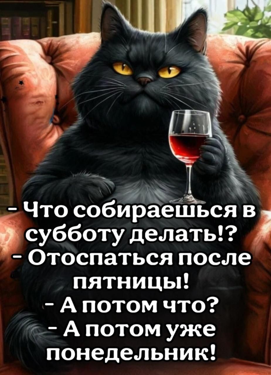 Что собирЁіешься в субботу делать Отоспаться после пятницы Апотом что Апотом уже понедельник лат