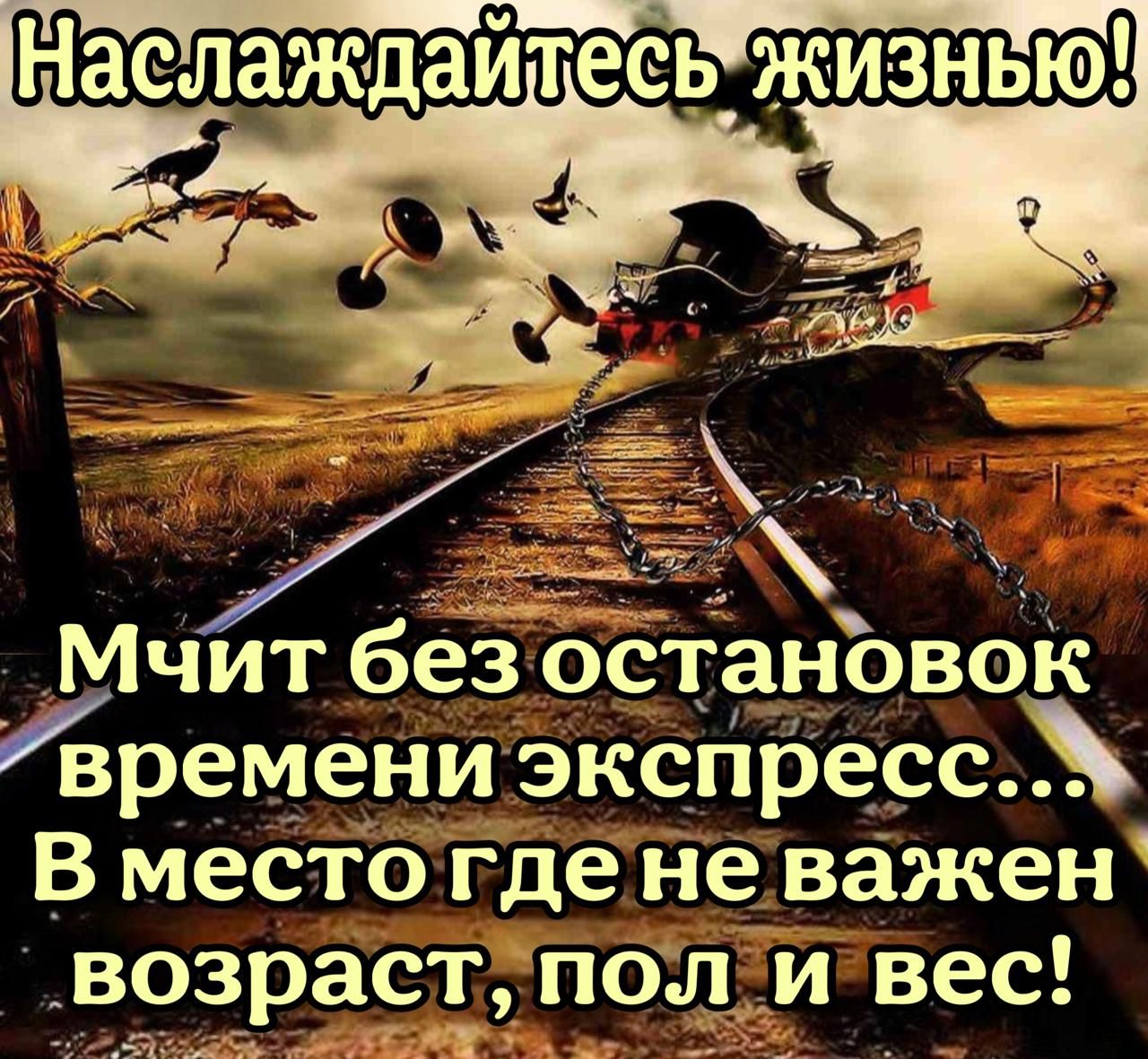 Мчйт без остановок времени экспрессъ В место гденеважен возраступол и вес