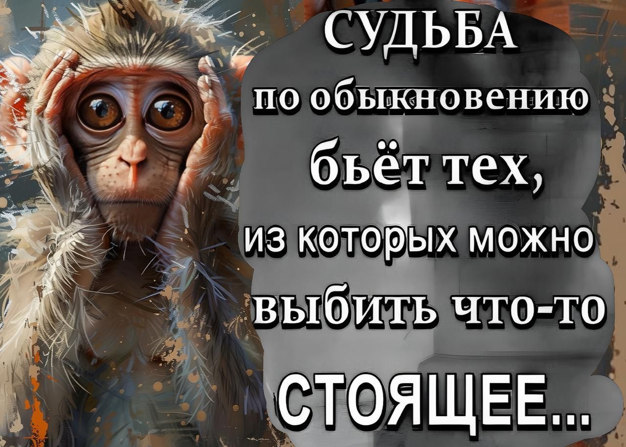 м8о СУДЬБА 2 2 по обыкновению бьечг тех ИЗ КОТОРЫХ МОЖНО аВЕ