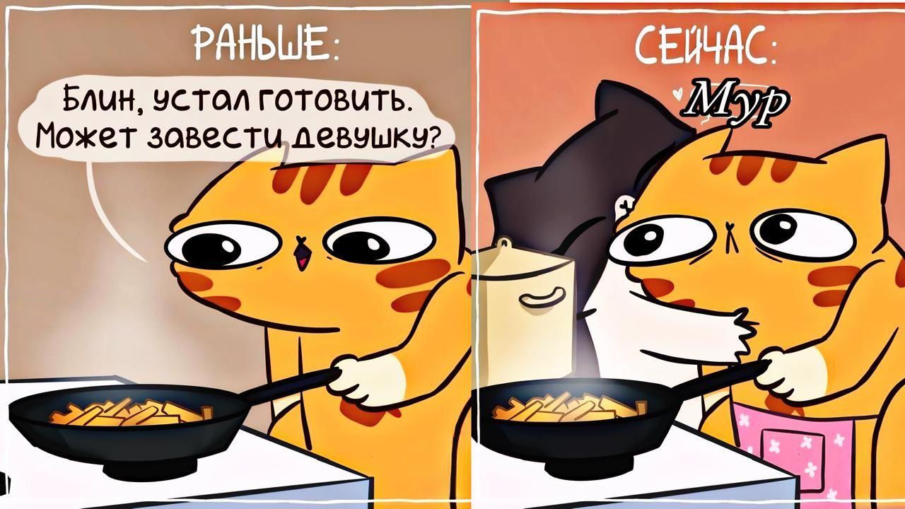 Блин чстол готовитьЬ Может зовестилевчшкч Т