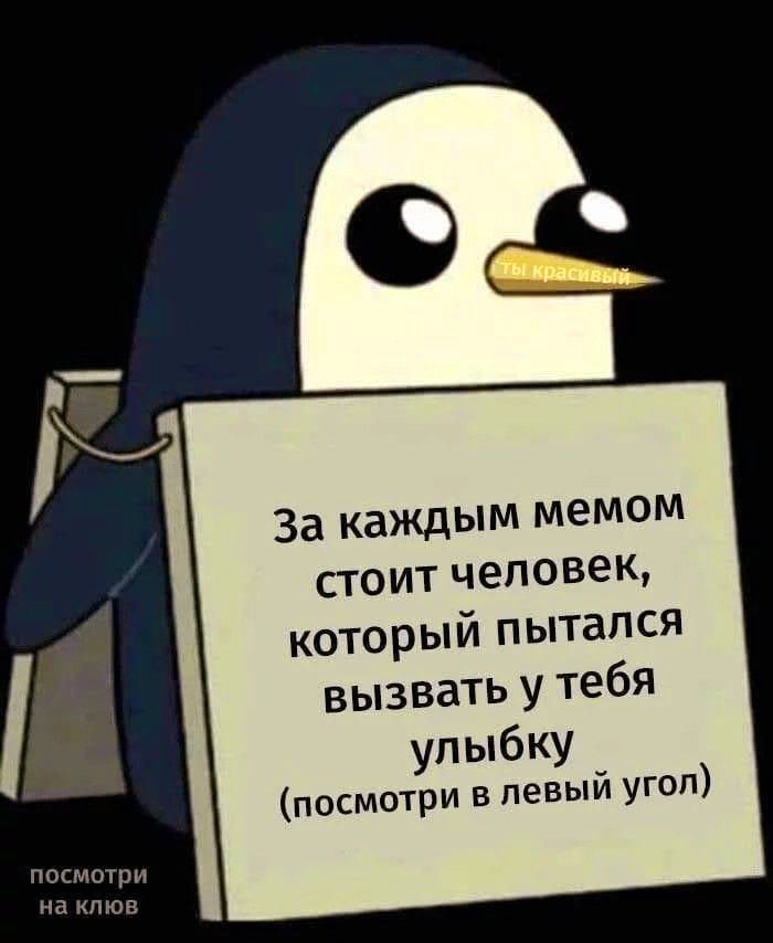 За каждым мемом стоит человек который пытался вызвать у тебя улыбку посмотри в левый угол посмотри на клюв