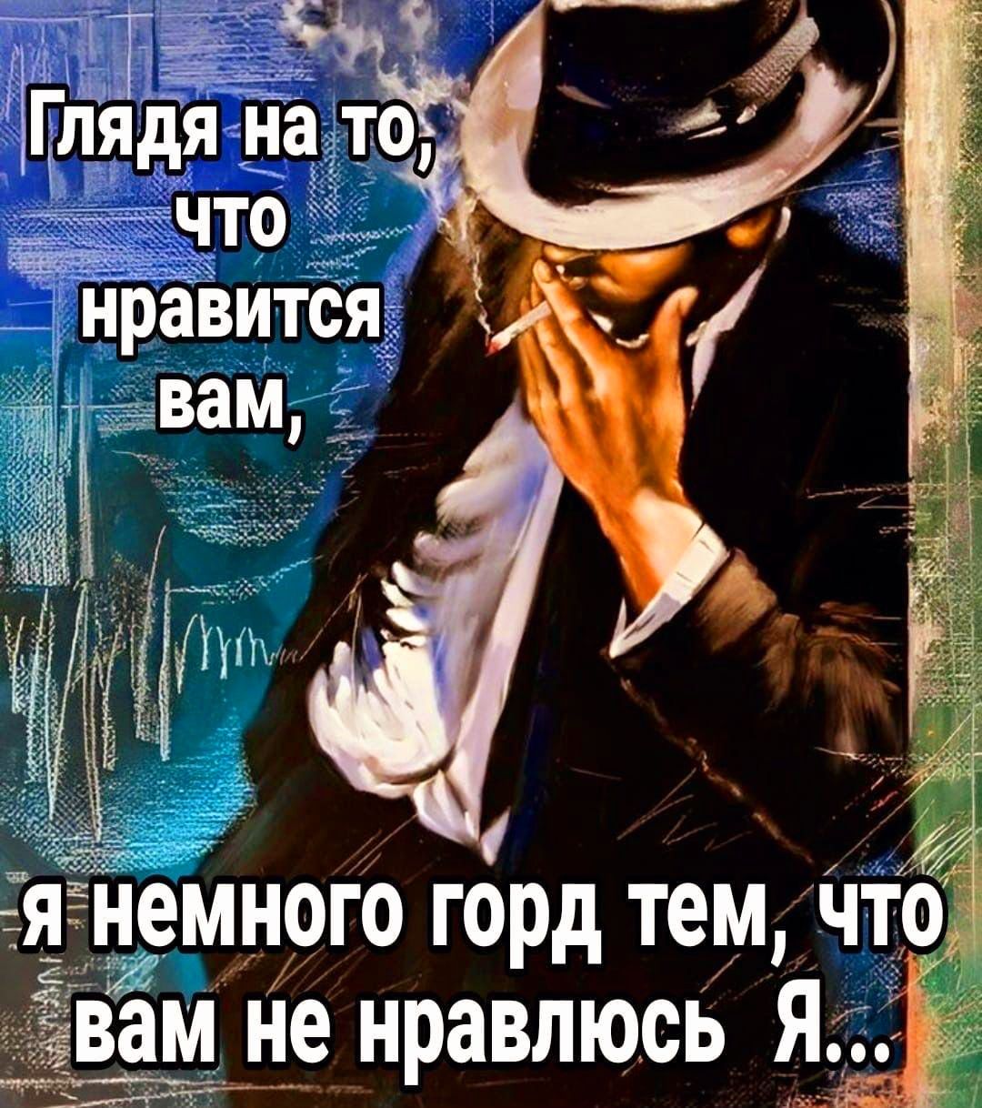 Глядя на то, что нравится вам, я немного горд тем, что вам не нравлюсь Я...