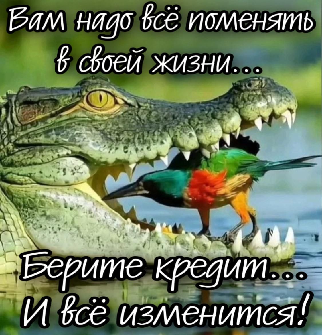 Вам надо всё поменять в своей жизни... Берите кредит... И всё изменится!