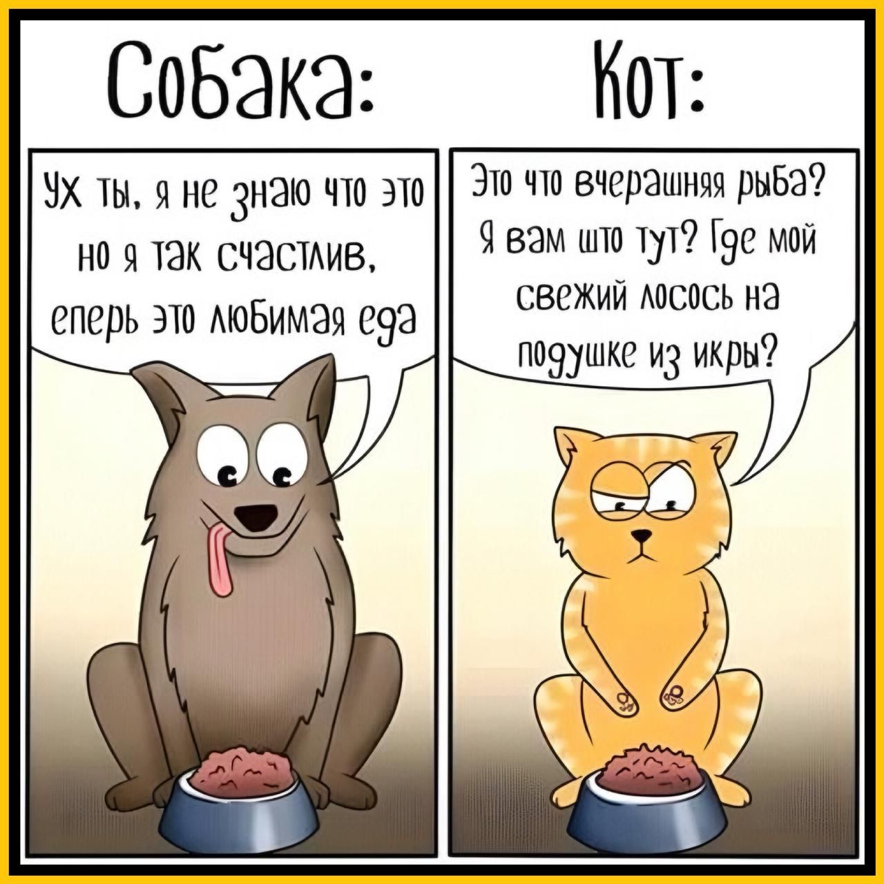 Собака:
Ух ты, я не знаю что это
но я так счастлив,
еперь это любимая еда

Кот:
Это что вечерняя рыба?
Я вам что тут? Где мой
свежий лосось на подушке из икры?