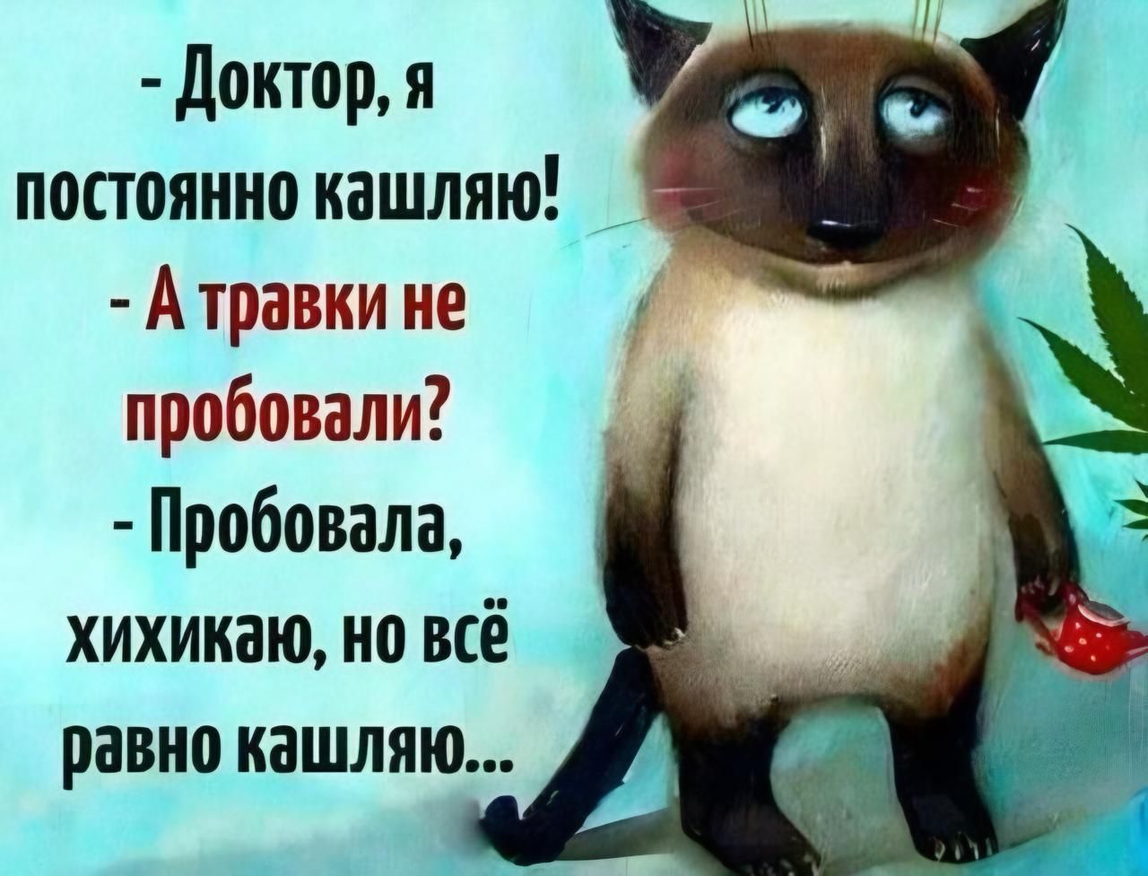 - Доктор, я постоянно кашляю! 
- А травки не пробовали? 
- Пробовала, хихикаю, но всё равно кашляю...