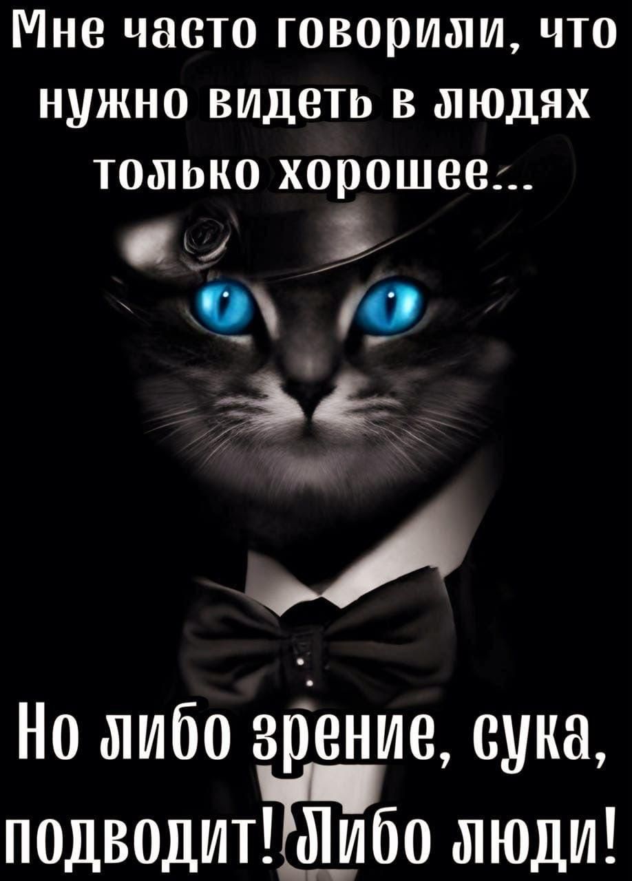 Мне часто говорили, что нужно видеть в людях только хорошее...
Но либо зрение, сука, подводит! Либо люди!