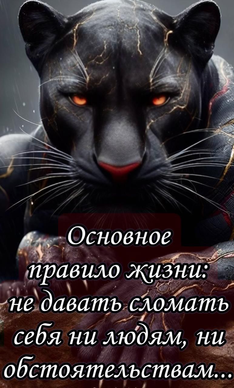 Основное правило жизни: не давать сломать себя ни людям, ни обстоятельствам...