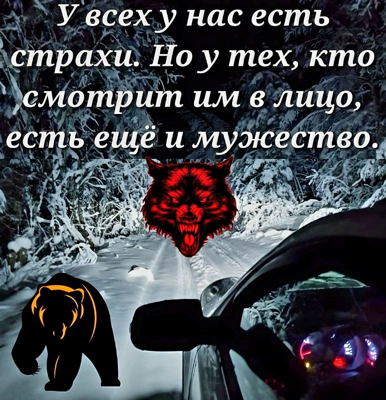 У всех у нас есть страхи. Но у тех, кто смотрит им в лицо, есть еще и мужество.