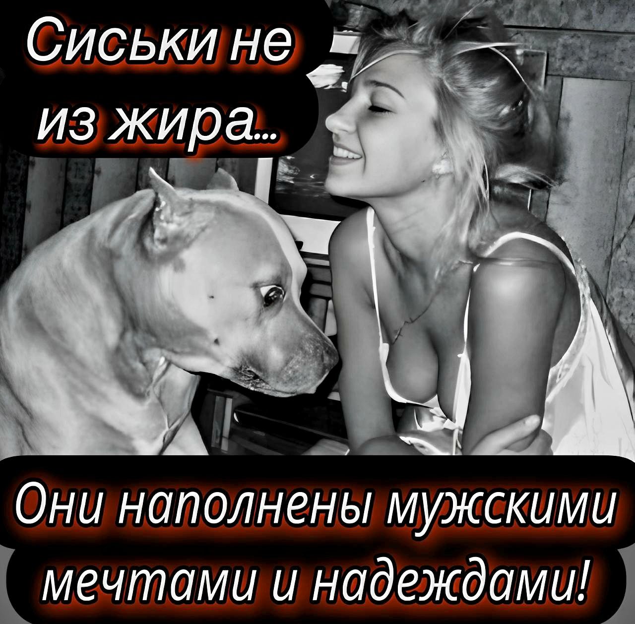Сиськи не из жира...
Они наполнены мужскими мечтами и надеждами!