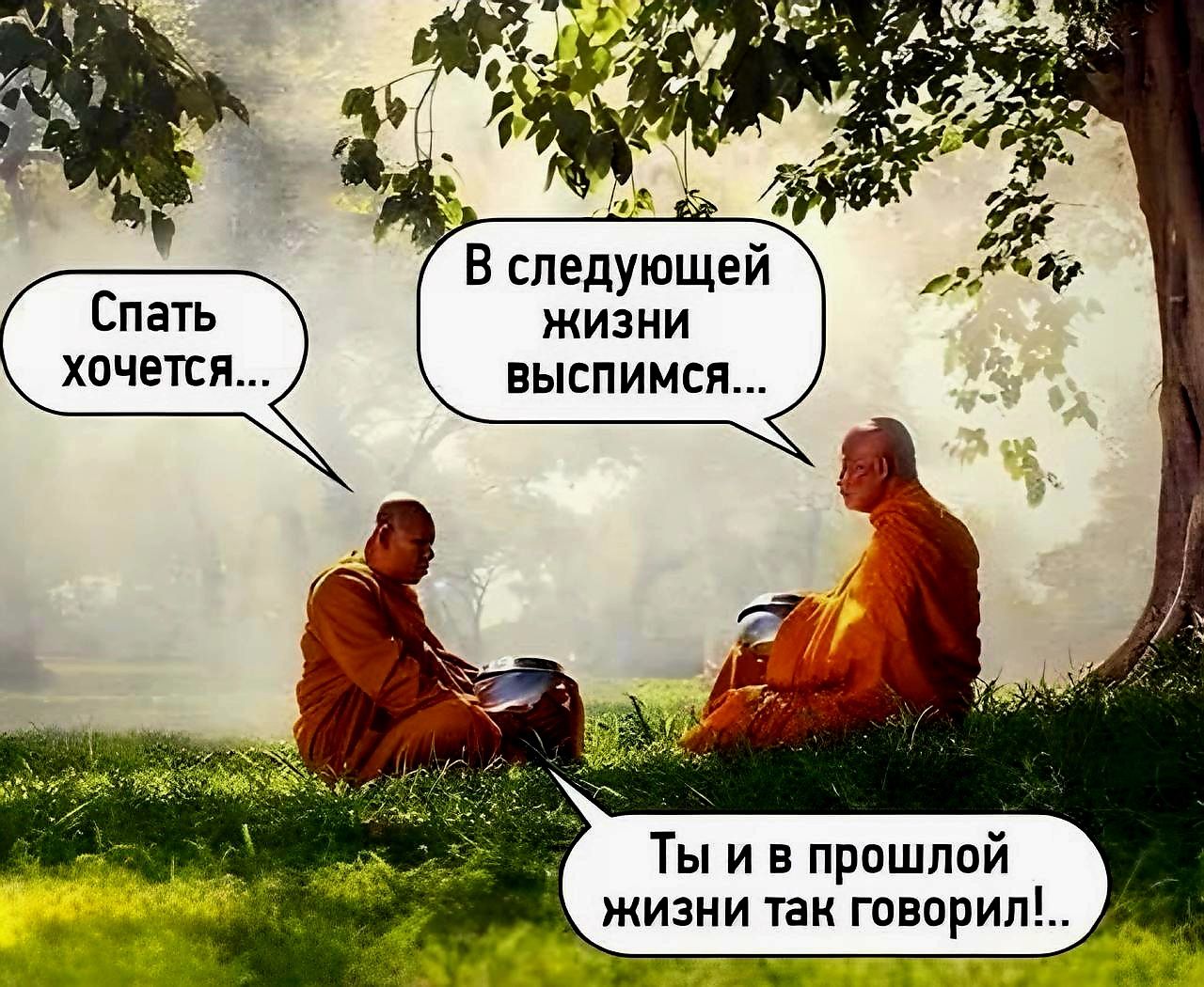 Спать хочется...
В следующей жизни выписаться...
Ты и в прошлой жизни так говорил!..