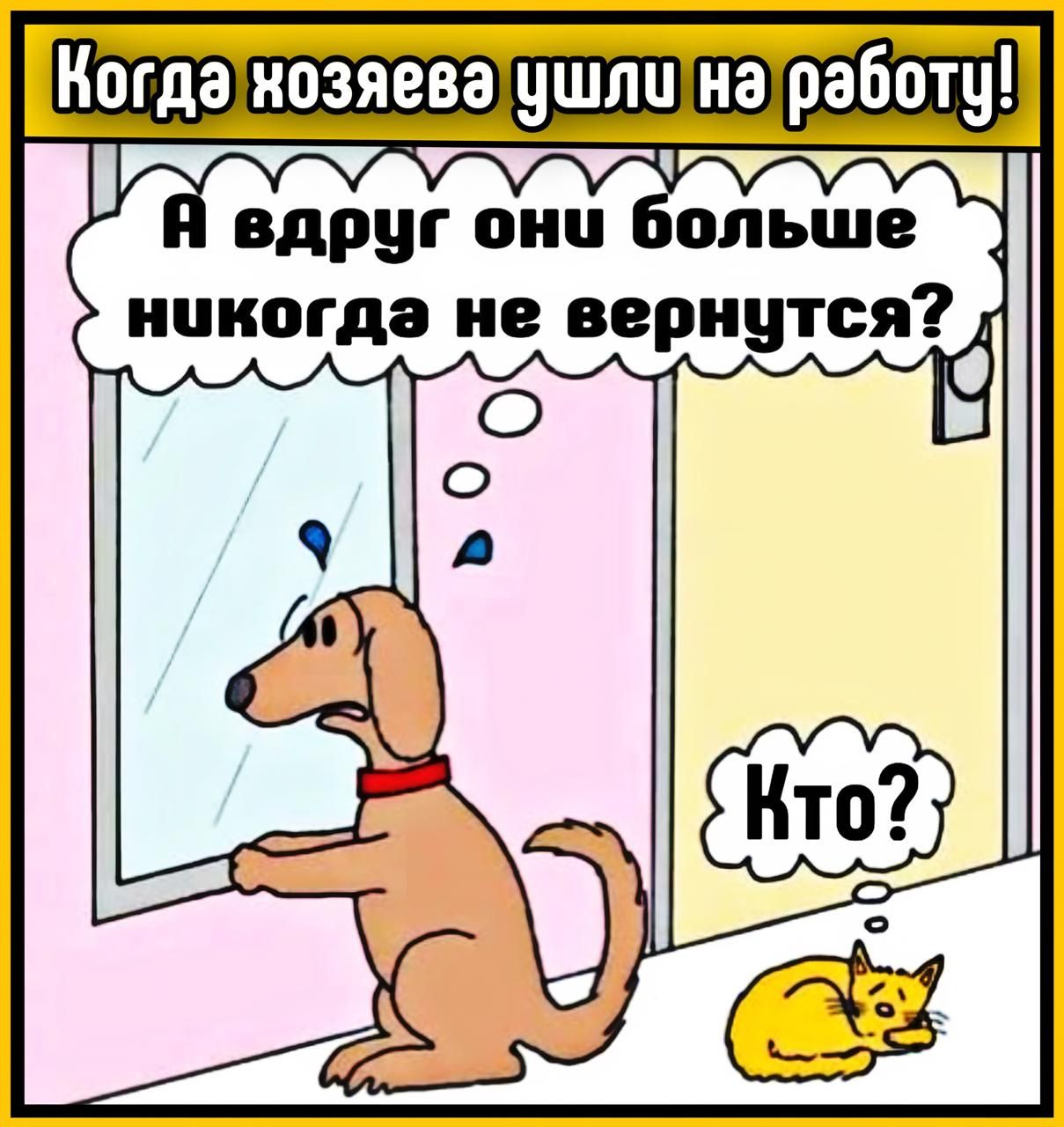 Когда хозяева ушли на работу! А вдруг они больше никогда не вернутся? Кто?