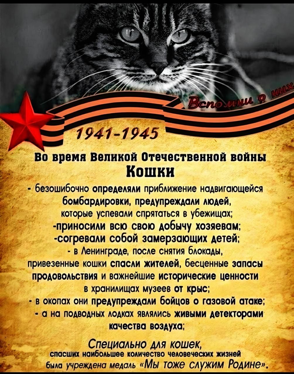 1941-1945
Во время Великой Отечественной войны
Кошки
- безошибочно определяли приближающуюся бомбардировку, предупреждали людей, которые успевали спрятаться и убежать;
- приносили всю свою любовь издевателям;
- согревали собой замерзающих детей;
- в Ленинграде, после снятия блокады, привезенные кошки спасли жителей, бесценные запасы продовольствия и важные исторические ценности в хранилищах музеев и т.д.;
- в окопах они предохраняли бойцов в газовой атаке;
- на подводных лодках служили естественными детекторами

Специально для кошек, это выдающаяся часть человеческой жизни
была утверждена медаль 