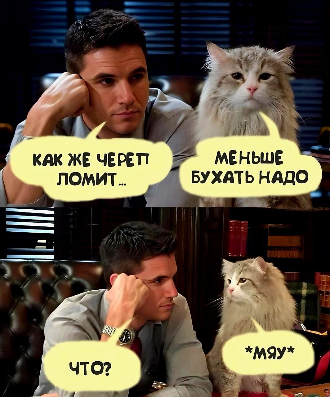 КАК ЖЕ ЧЕРЕП ЛОМИТ... МЕНЬШЕ БУХАТЬ НАДО
ЧТО? *МЯУ*