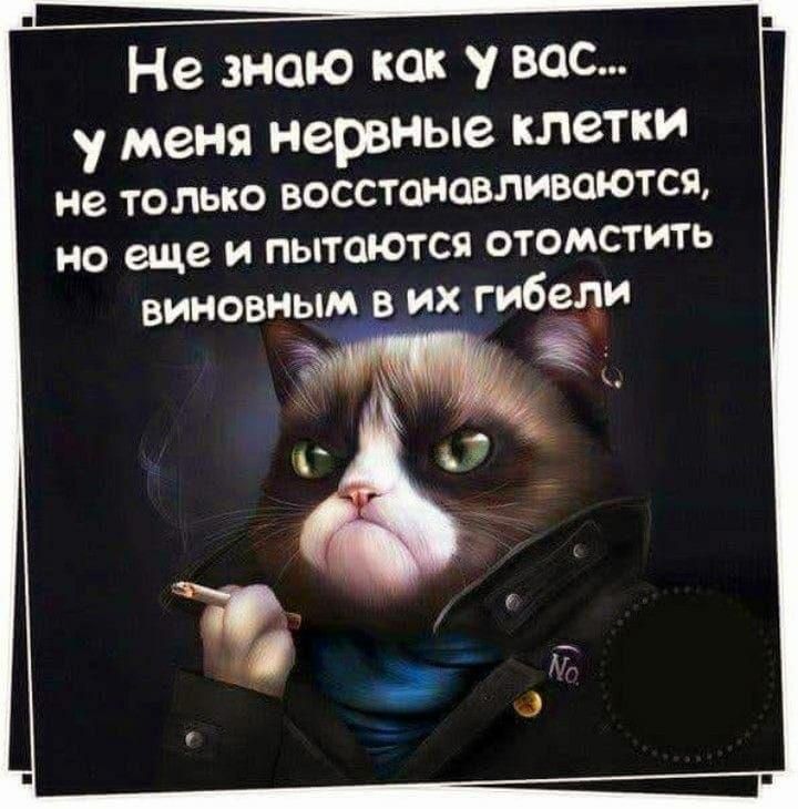 Не знаю как у вас... у меня нервные клетки не только восстанавливаются, но еще и пытаются отомстить виновным в их гибели