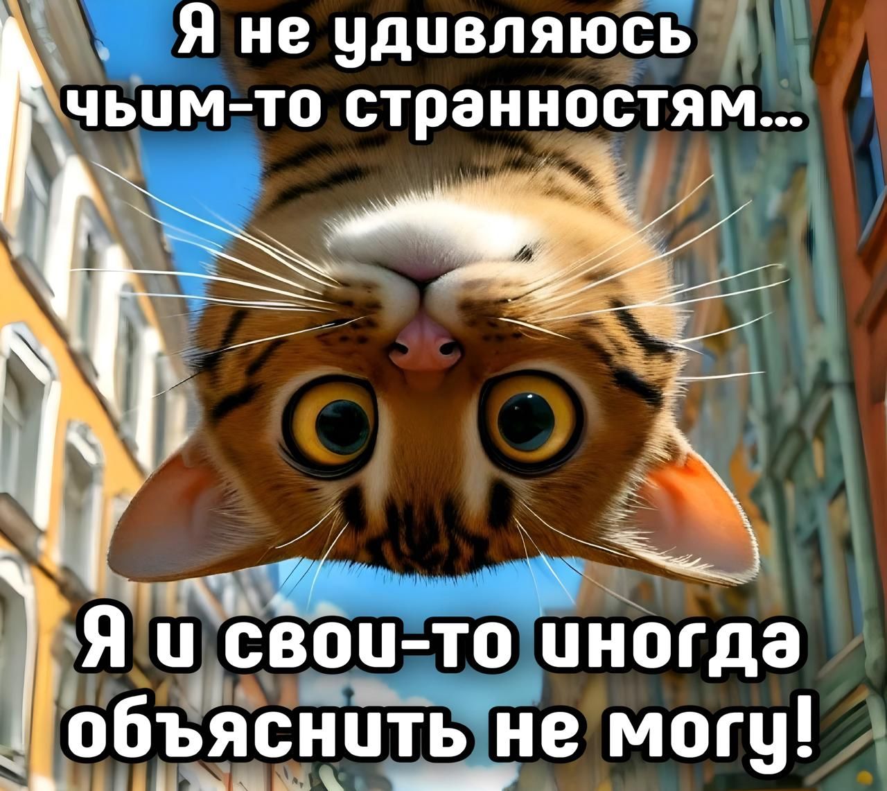 Я не удивляюсь чьим-то странностям... Я и свои-то иногда объяснить не могу!