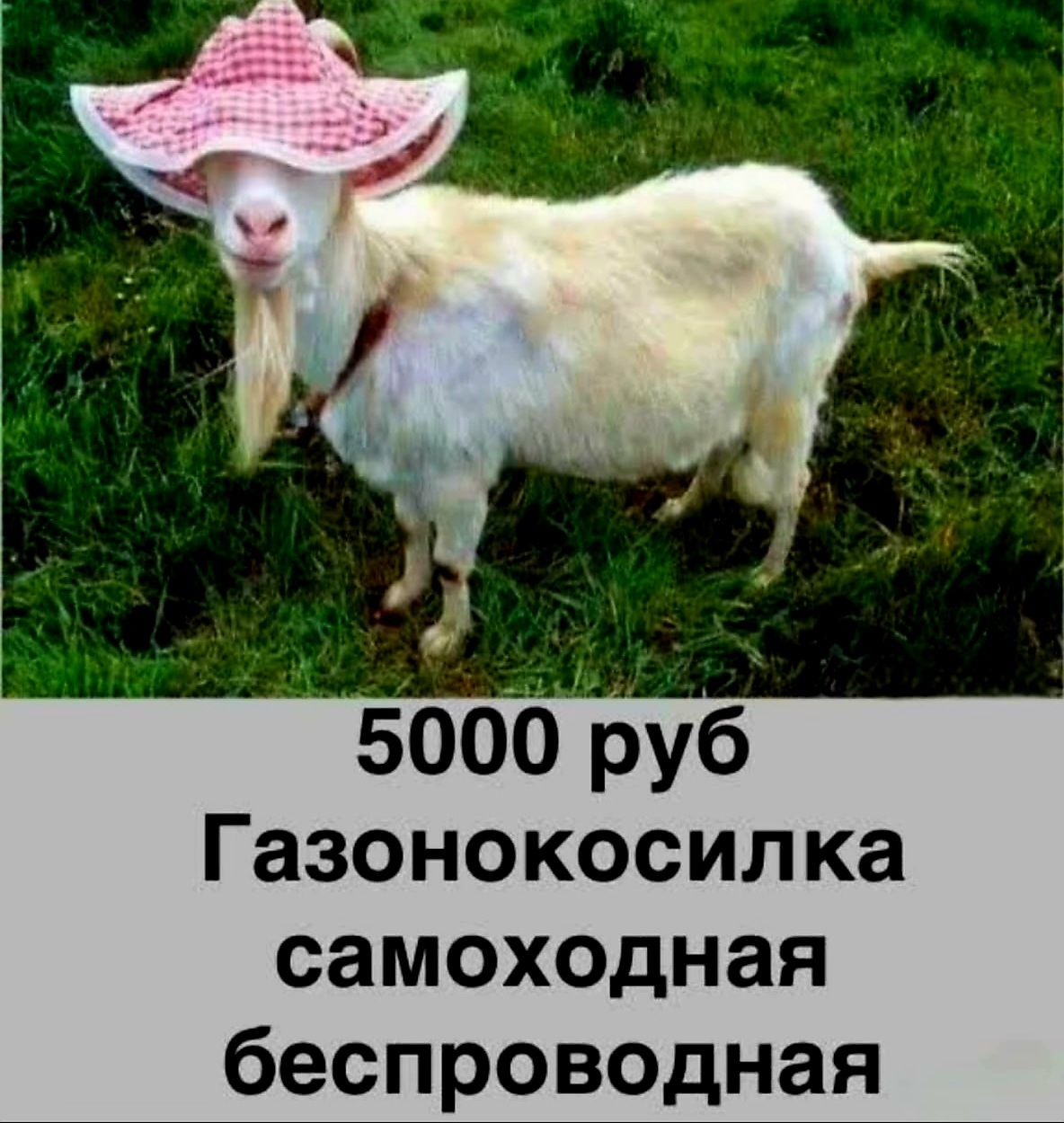 5000 руб Газонокосилка самоходная беспроводная