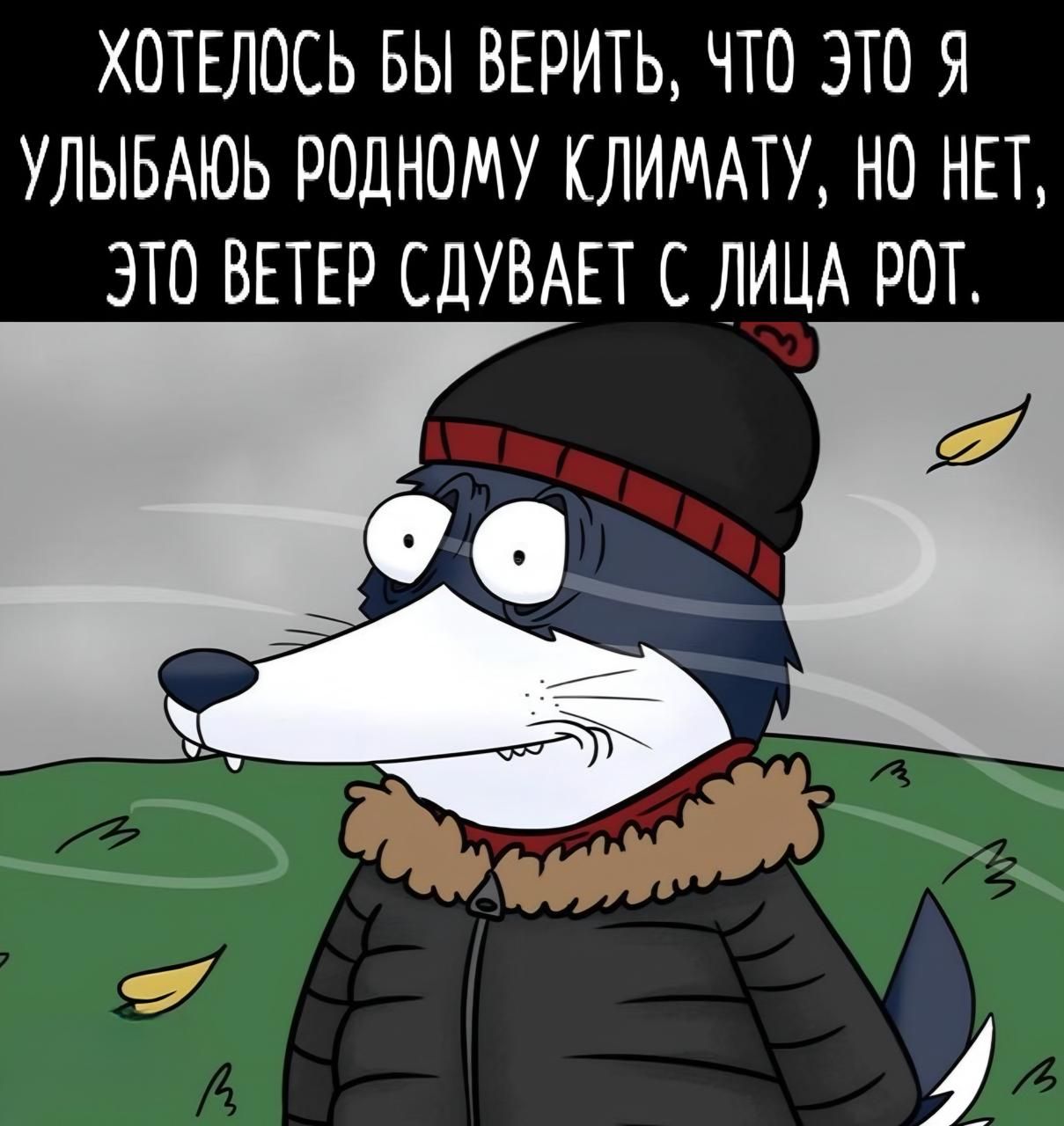 ХОТЕЛОСЬ БЫ ВЕРИТЬ, ЧТО ЭТО Я УЛЫБАЮ РОДНОМУ КЛИМАТУ, НО НЕТ, ЭТО ВЕТЕР СДУВАЕТ С ЛИЦА РОТ.