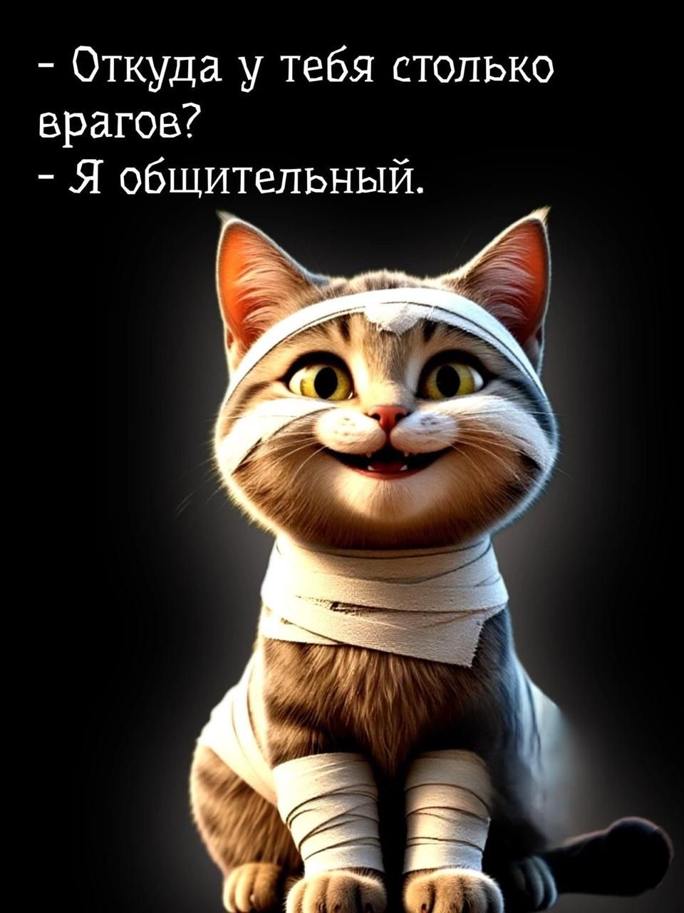 - Откуда у тебя столько врагов?
- Я общительный.