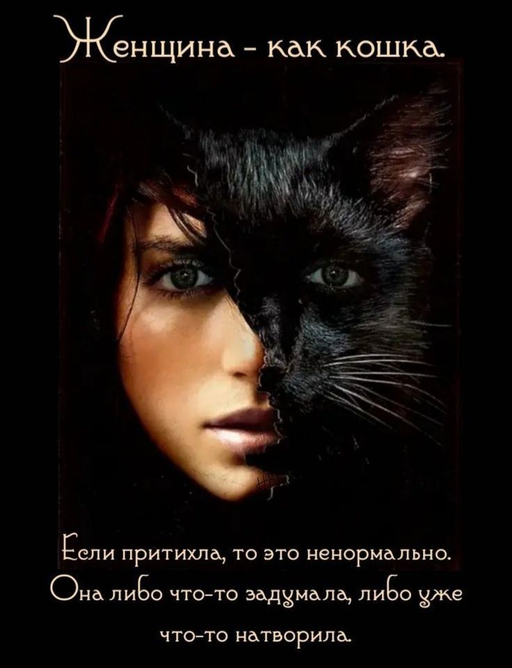 Женщина - как кошка.
Если притихла, то это ненормально.
Она либо что-то задумала, либо уже что-то натворила.