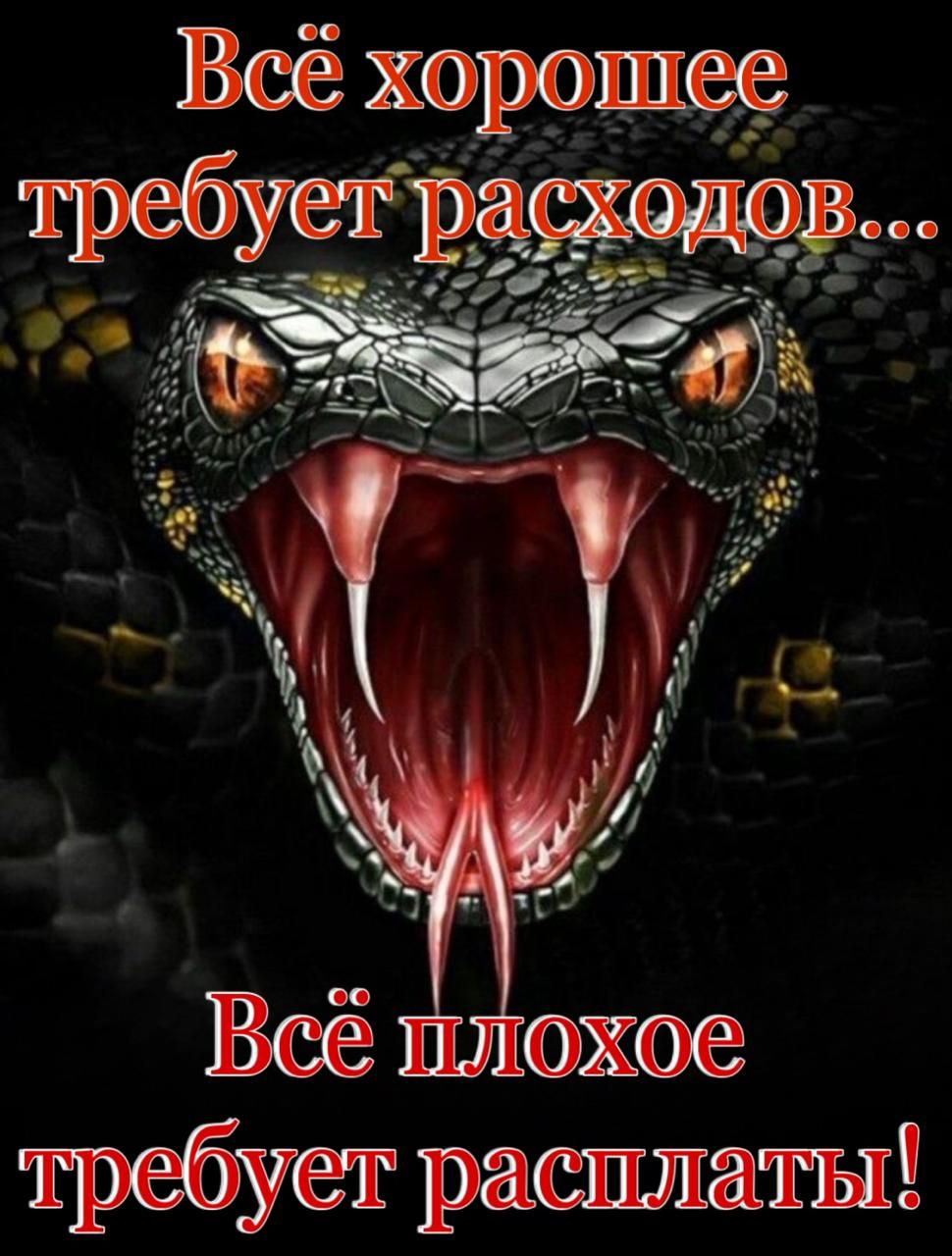 Всё хорошее требует расходов...
Всё плохое требует расплаты!