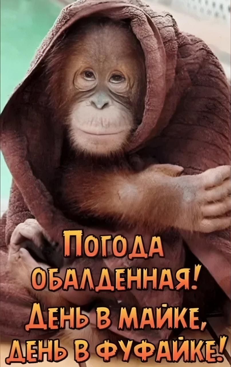 Погода обалденная! День в майке, день в фуфайке!