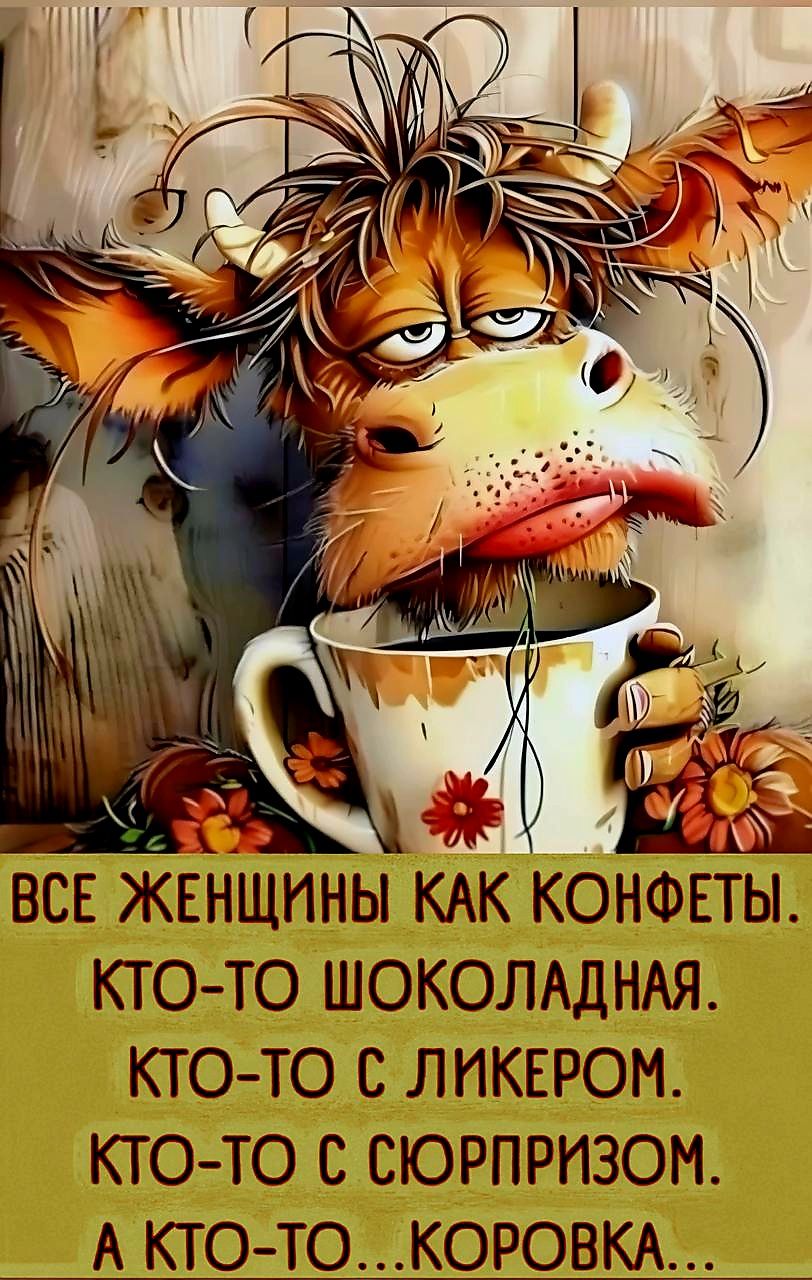 ВСЕ ЖЕНЩИНЫ КАК КОНФЕТЫ. КТО-TO ШОКОЛАДНАЯ. КТО-TO С ЛИКЕРОМ. КТО-TO С СЮРПРИЗОМ. А КТО-TO...КОВОРОЧКА...