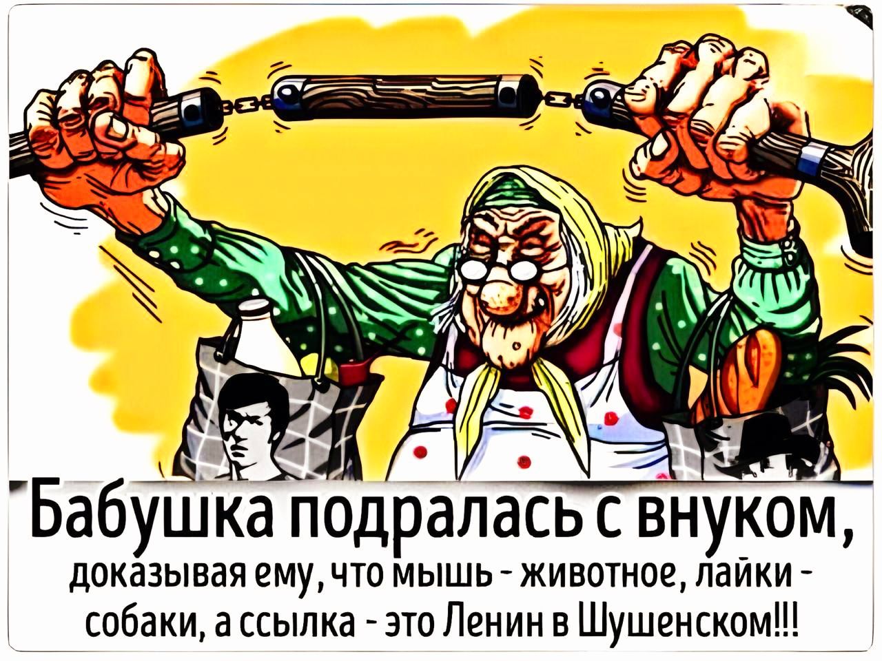 Бабушка подралась с внуком, доказывая ему, что мышь – животное, лайки – собаки, а ссылка – это Ленин в Шушенском!!!
