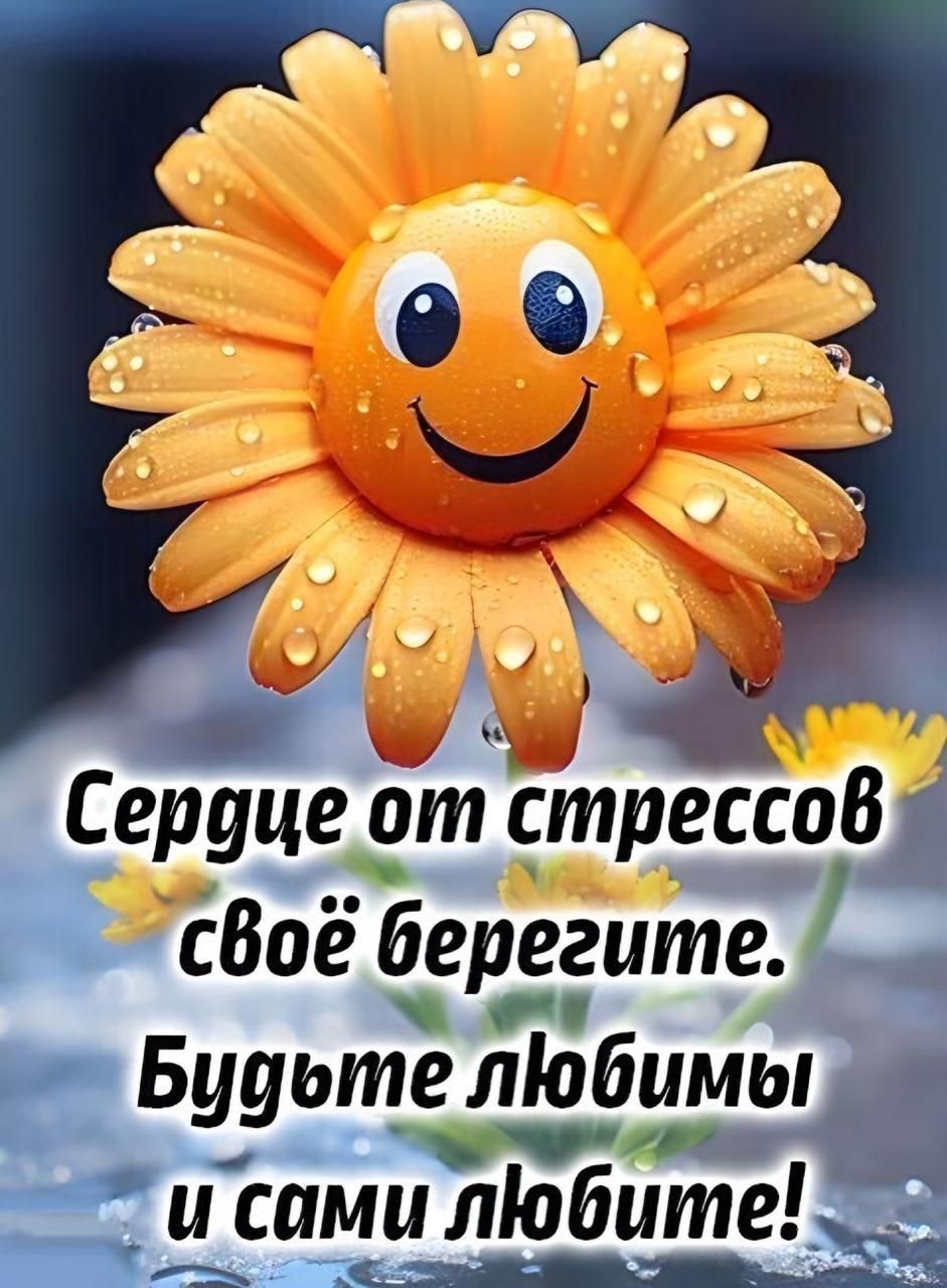 Сердце от стрессов своё берегите. Будьте любимы и сами любите!